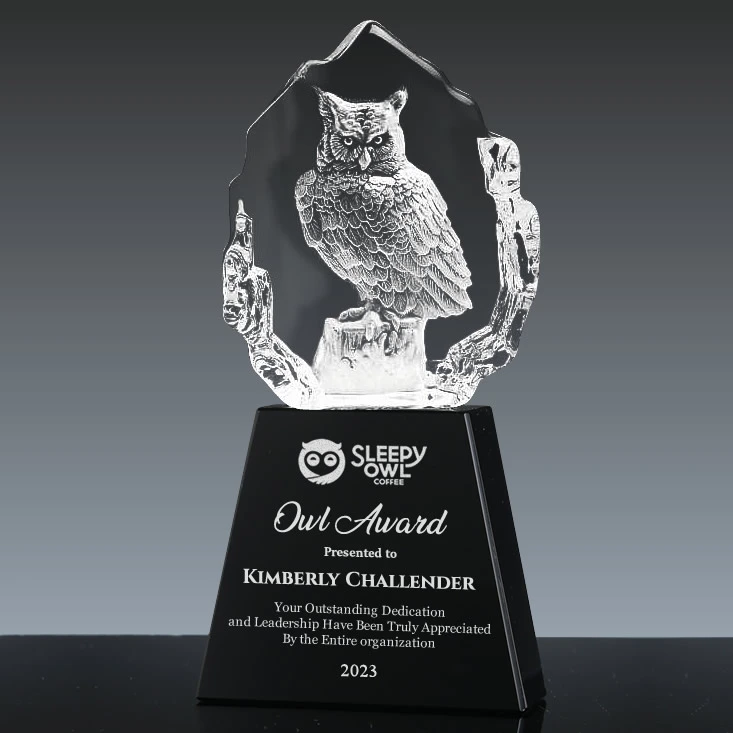 3d crystal owl award