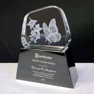3d crystal butterfly award