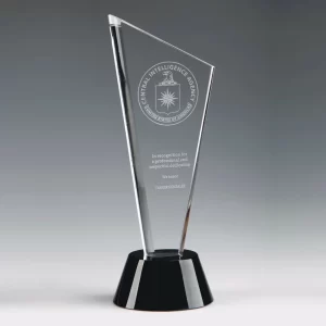 corporate crystal tie award