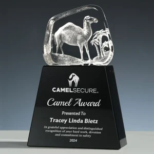 3d camel crystal award