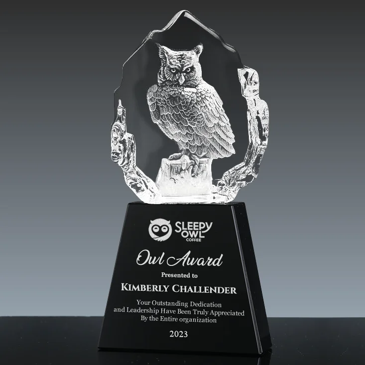 3d owl crystal award