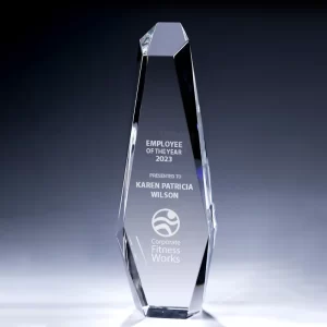 faceted crystal hexagon tower award
