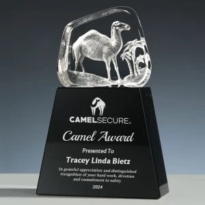 3d crystal camel award