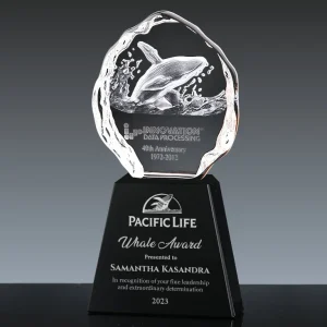 3d crystal whale award
