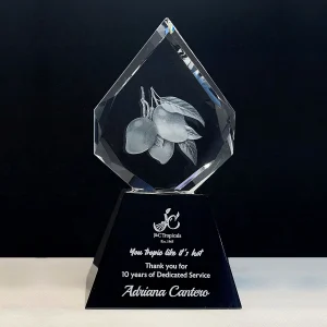 3d laser engraved crystal fruit trophy award