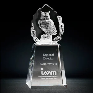 clear optical crystal owl trophy award