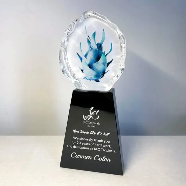 color printed crystal fruit trophy award