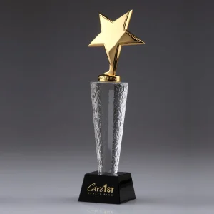 gold metal star crystal award