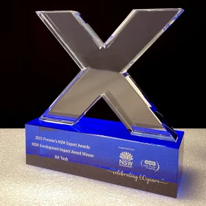 letter X crystal award