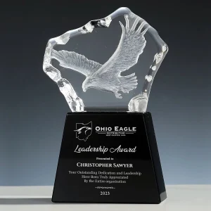 3d crystal eagle award