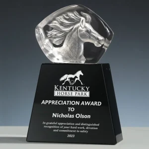 3d crystal horse award
