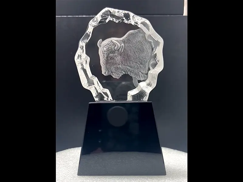 3D Laser Etcehd Crystal Bison Award