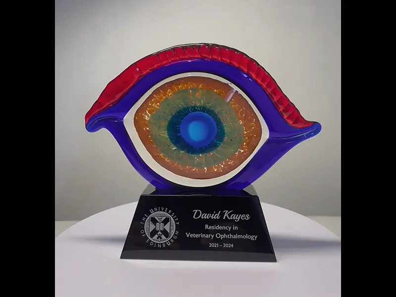 Art Glass Eye Award