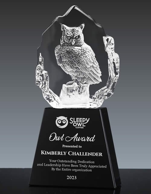 optical crystal owl trophy award